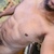 BatorEd74 avatar