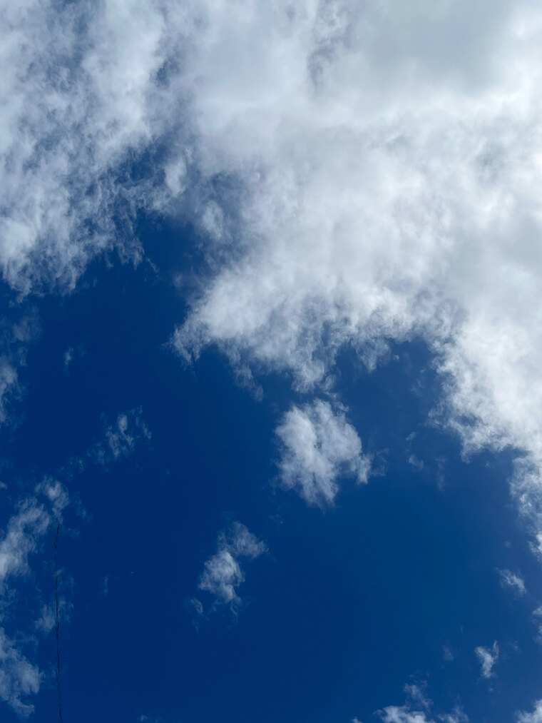 Patrício 🦇 banner image