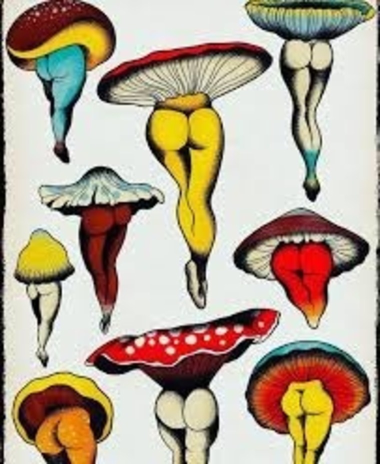 Serena Lavender cover image