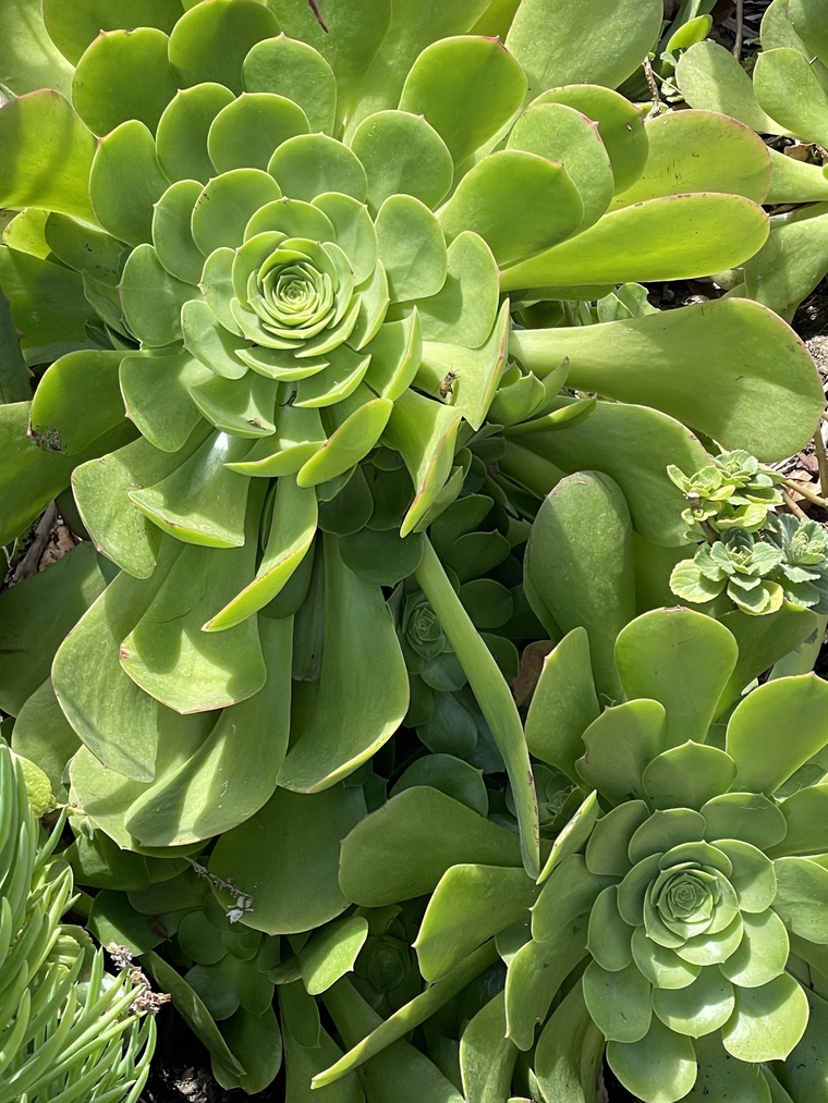 April cover image