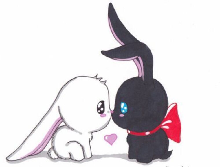Bunny cover image