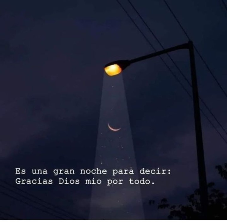 Paulita banner image