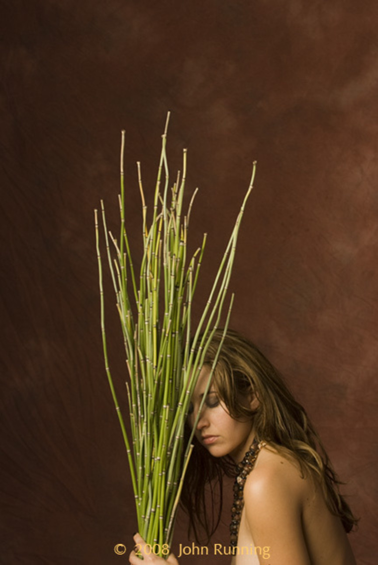 B cover image