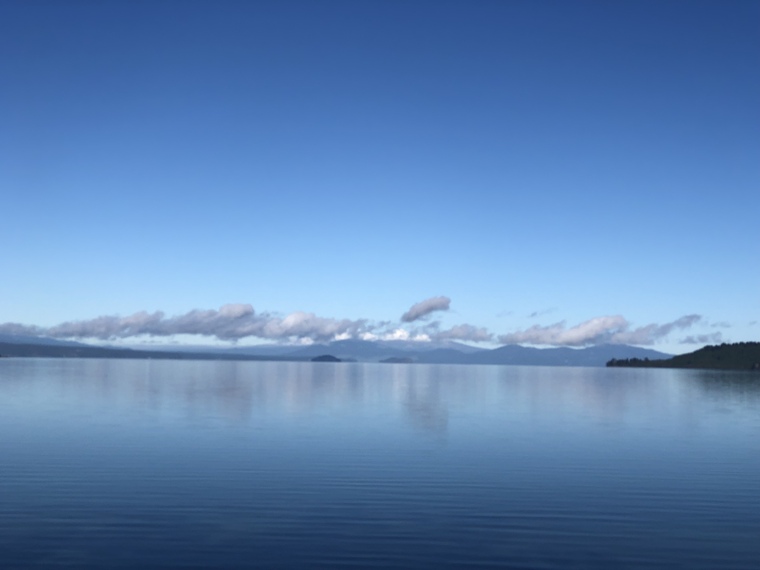 BBCDUKE cover image