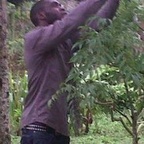 Ezdoe avatar