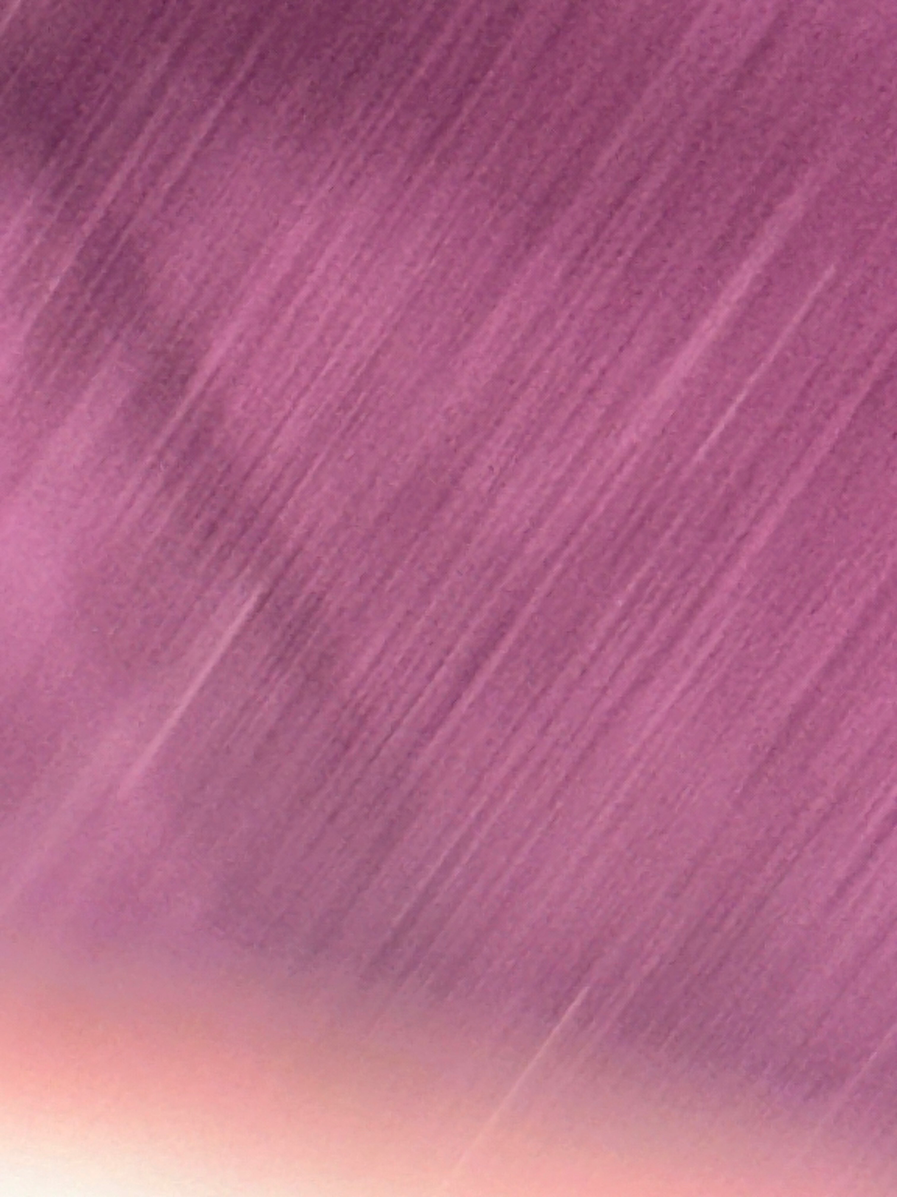 Bblanca banner image