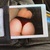 Sheils avatar