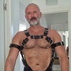 Mike Gross avatar
