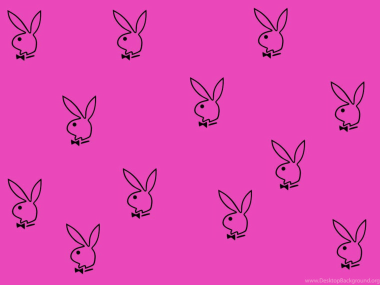 ♥︎ Bunny ♥︎ banner image