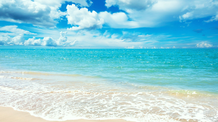 Christy banner image