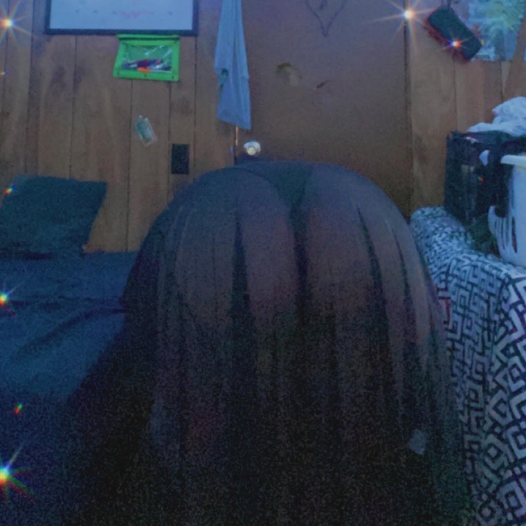 Nicole banner image