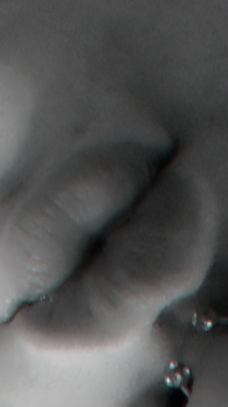 BbwSugarTITS cover image