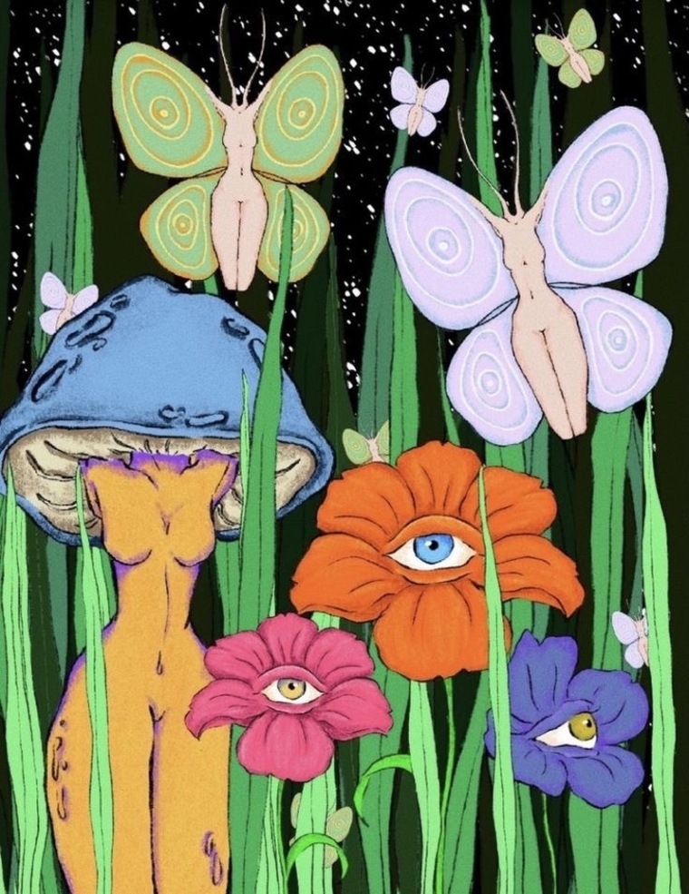 moth cover image