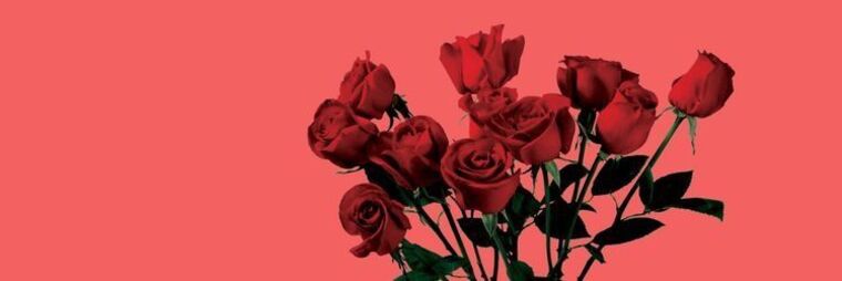 Rosie cover image