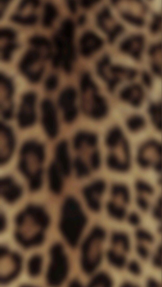Nicole banner image