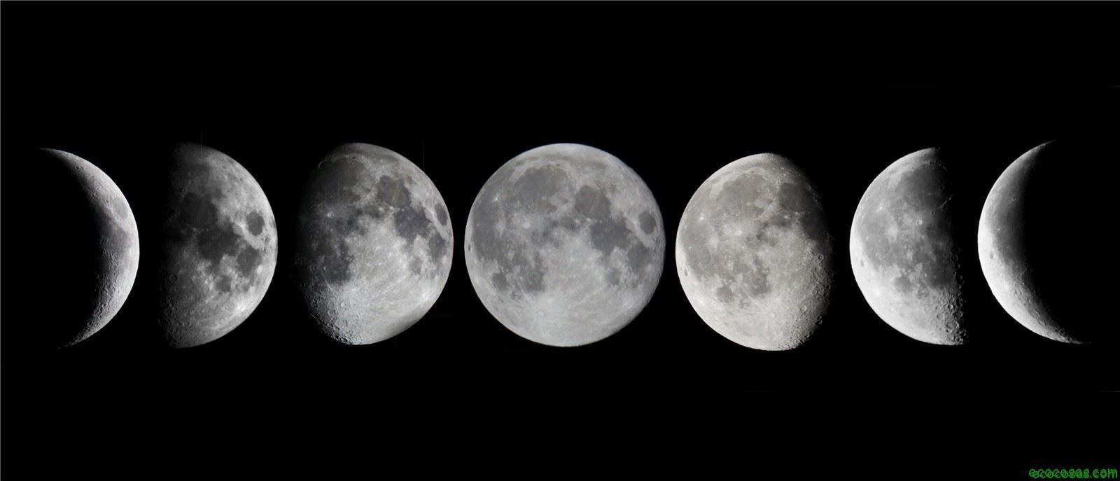 chrissy linkz🌙 banner image