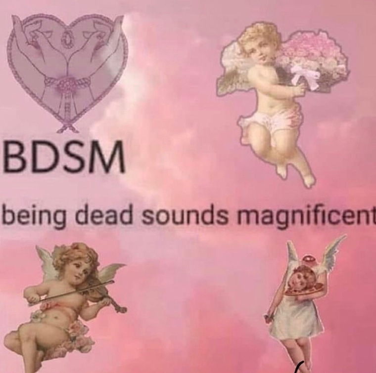 bbyvenuskitten cover image