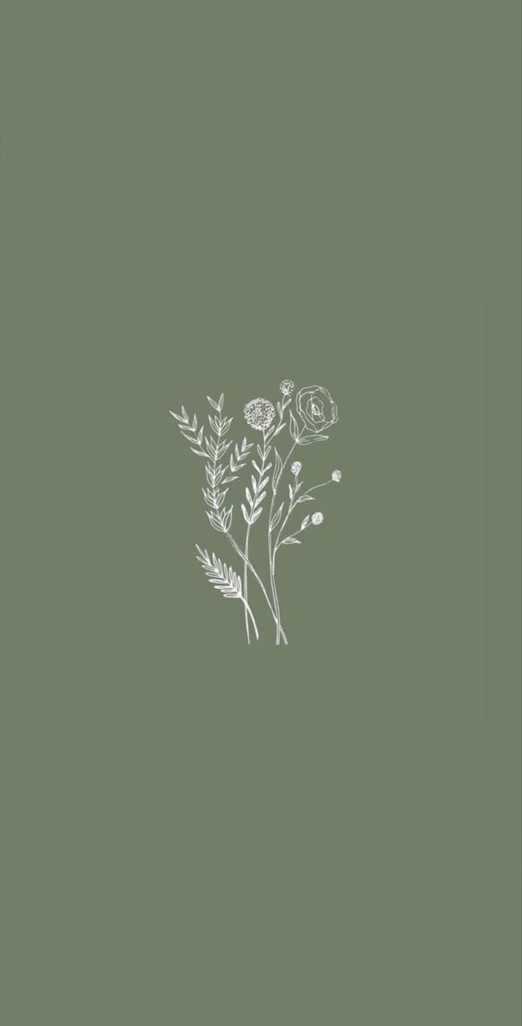 BB cover image
