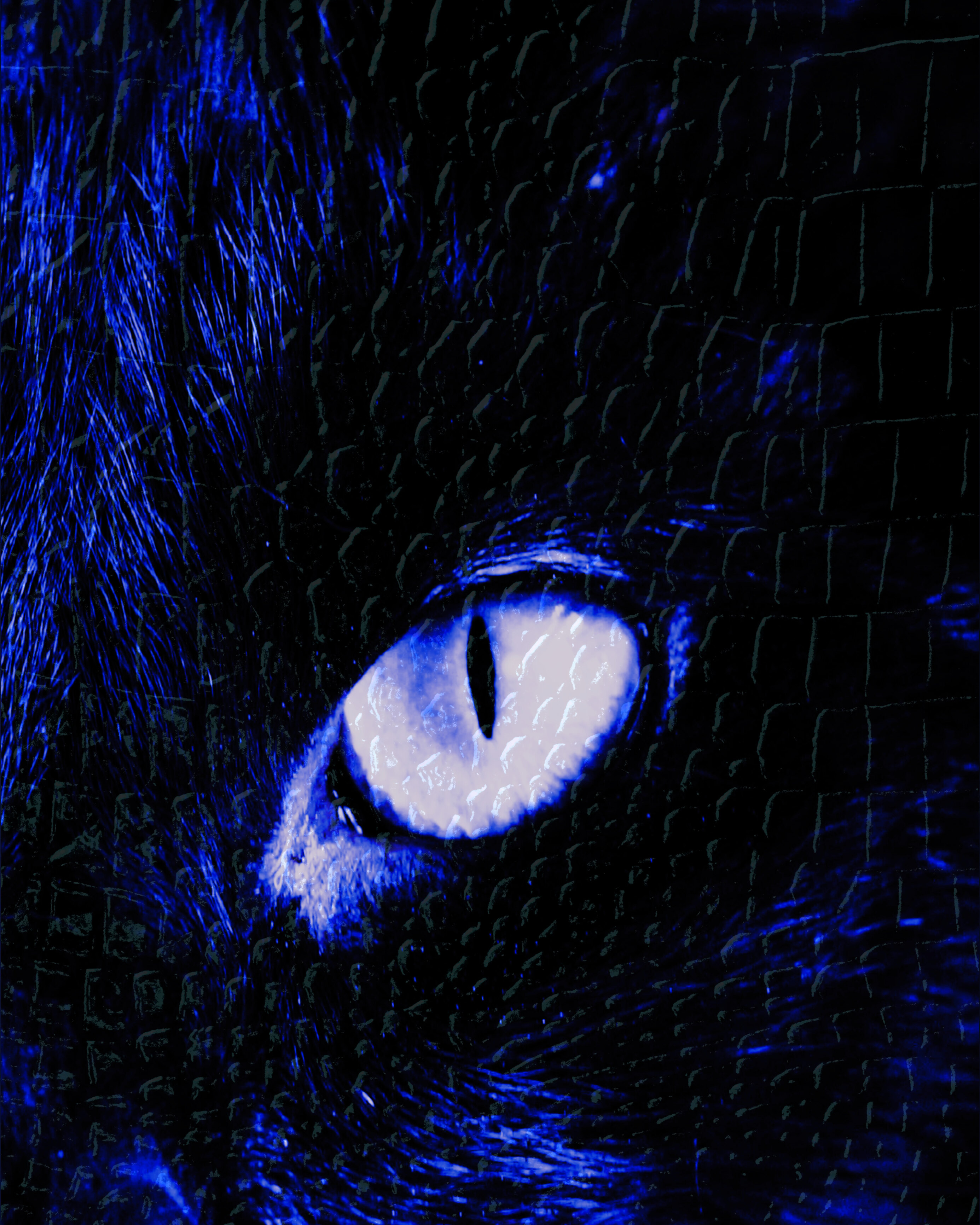 Be Queen banner image