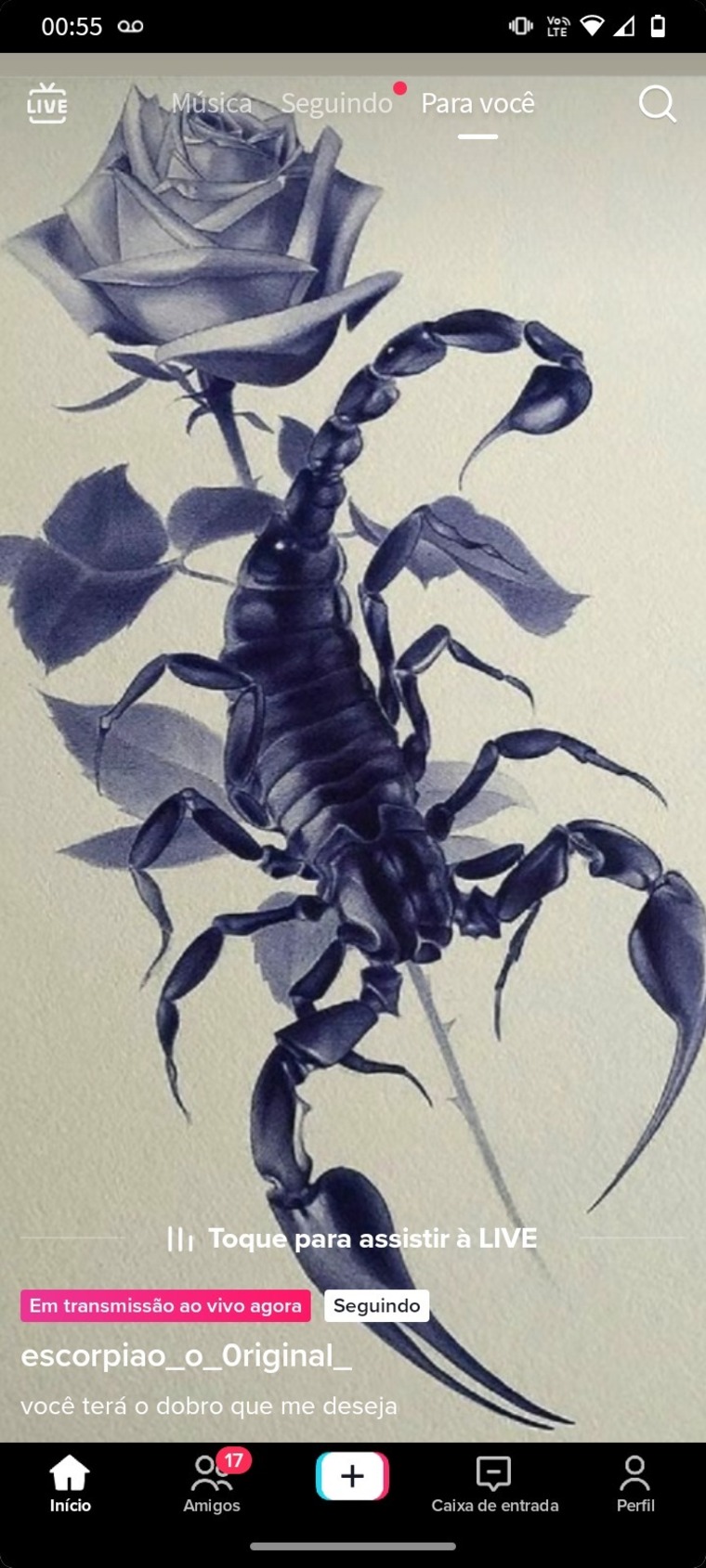Beatris lima cover image