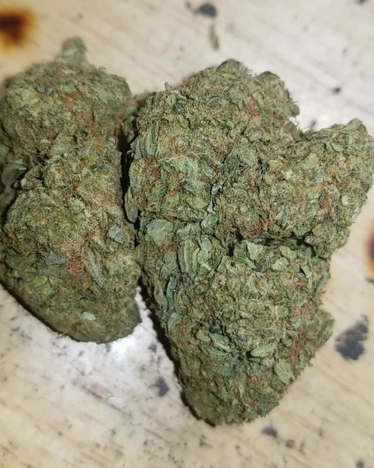 420beachbunny cover image