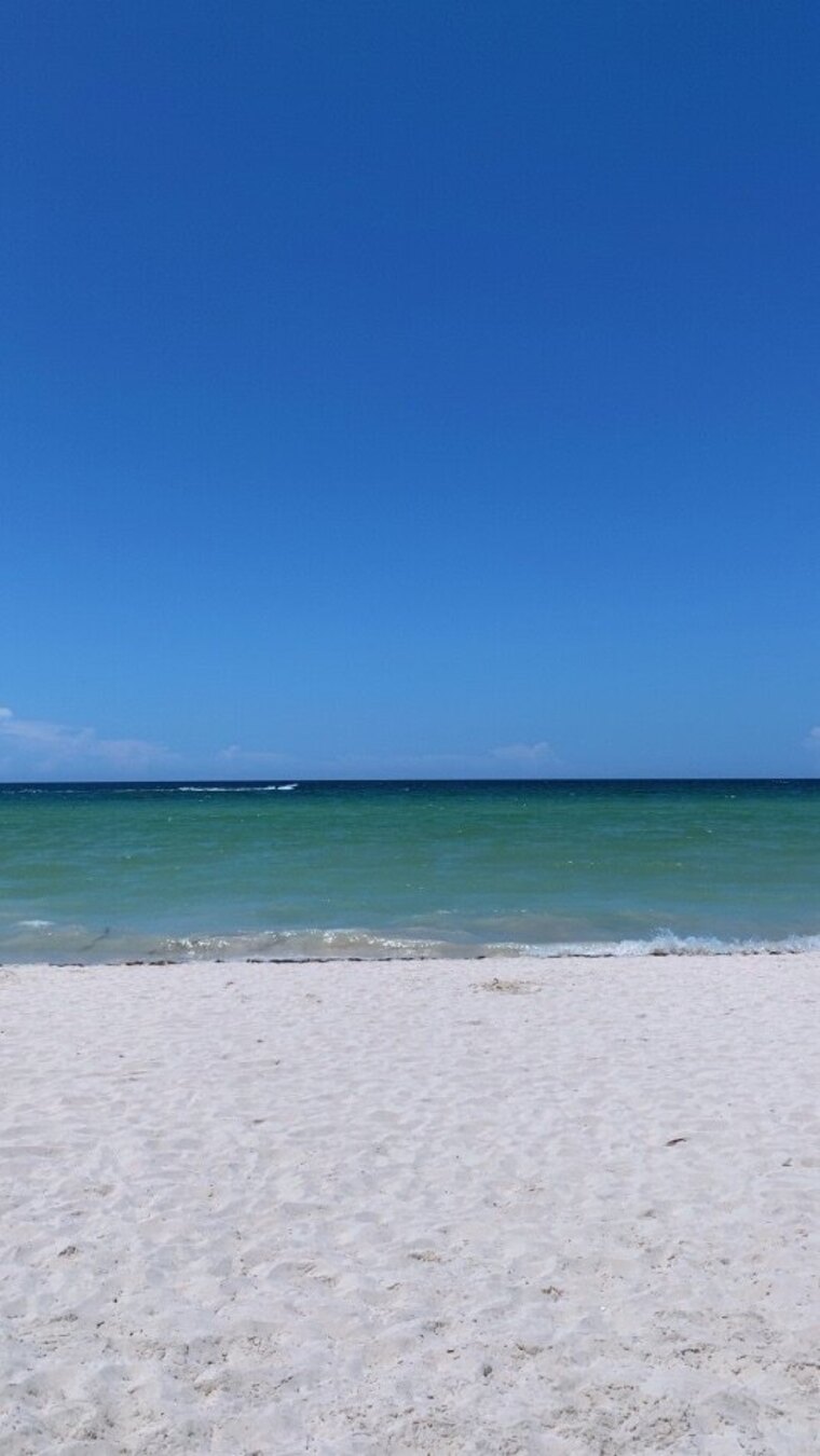 Beach Legs&amp;Toes 🏝️ cover image