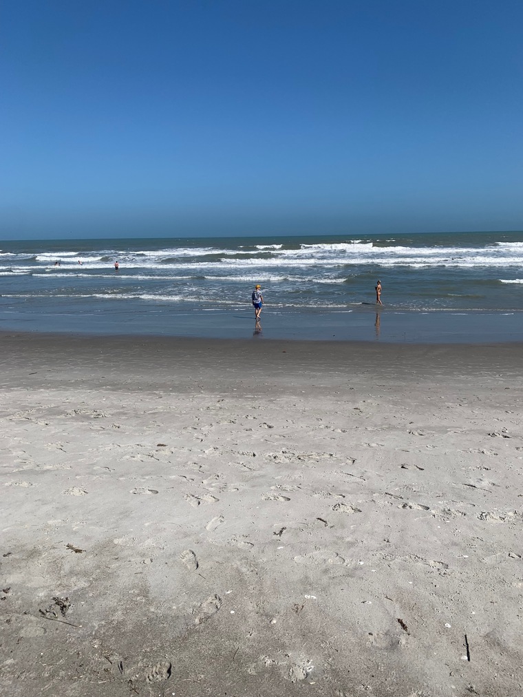 Beachbum banner image