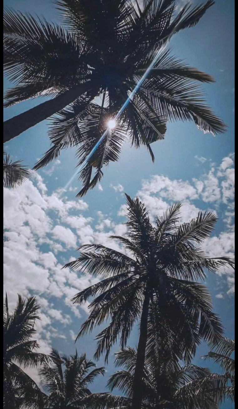 𝓜𝓲𝓬𝓱𝓪𝓮𝓵 cover image