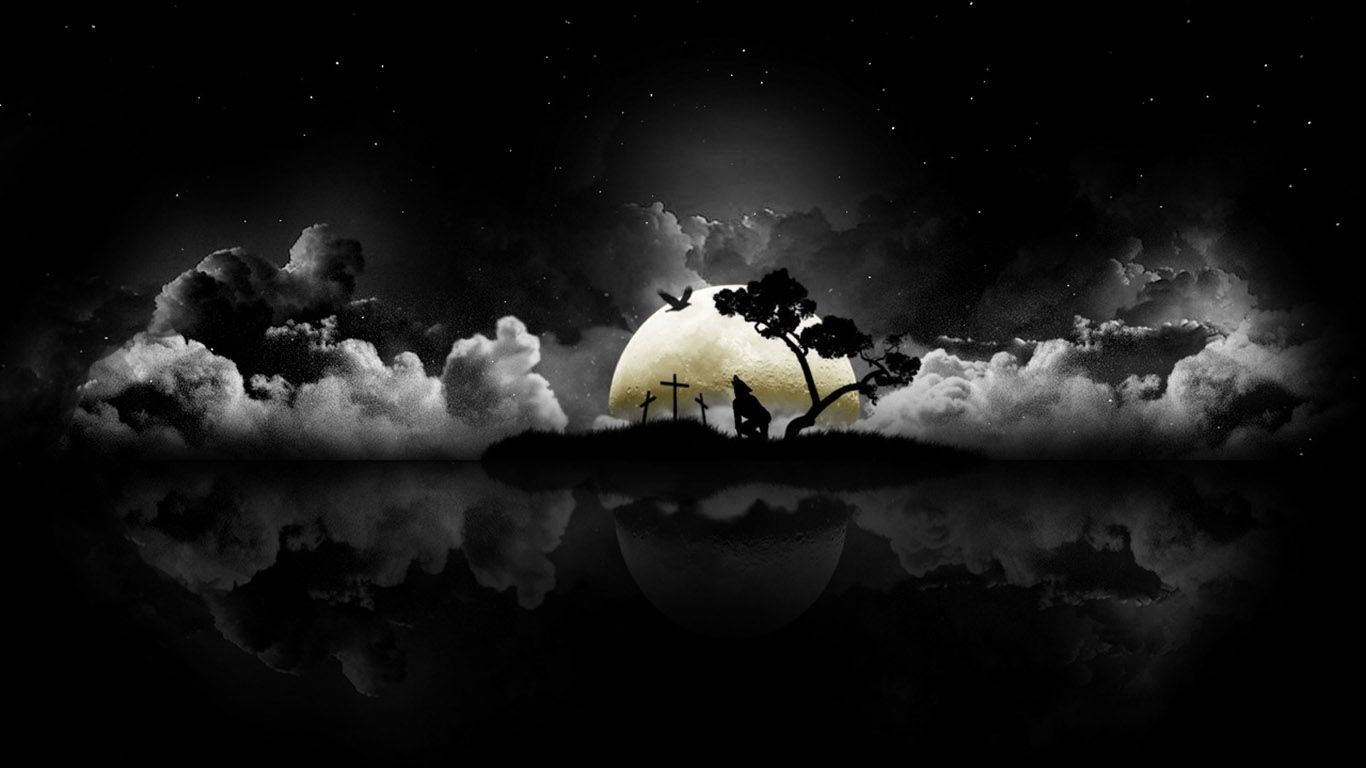 Bear9307π» banner image