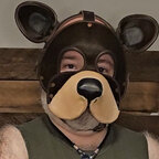 Bear Dandy avatar