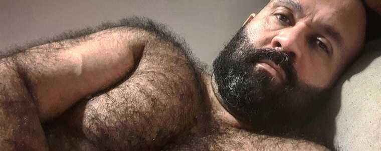Bear_uai banner image