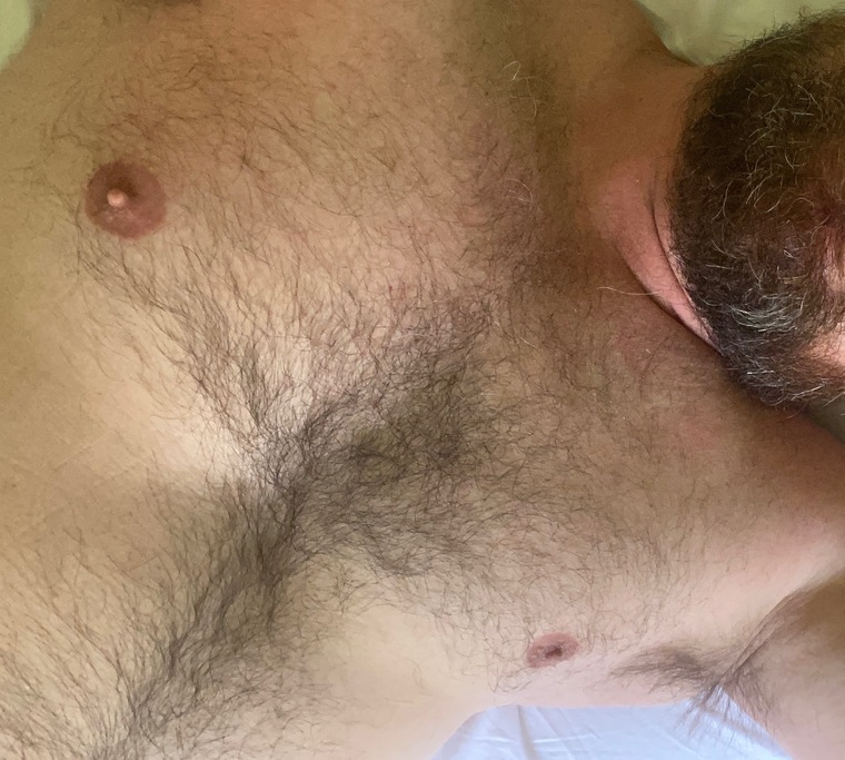 Bearzinho cover image