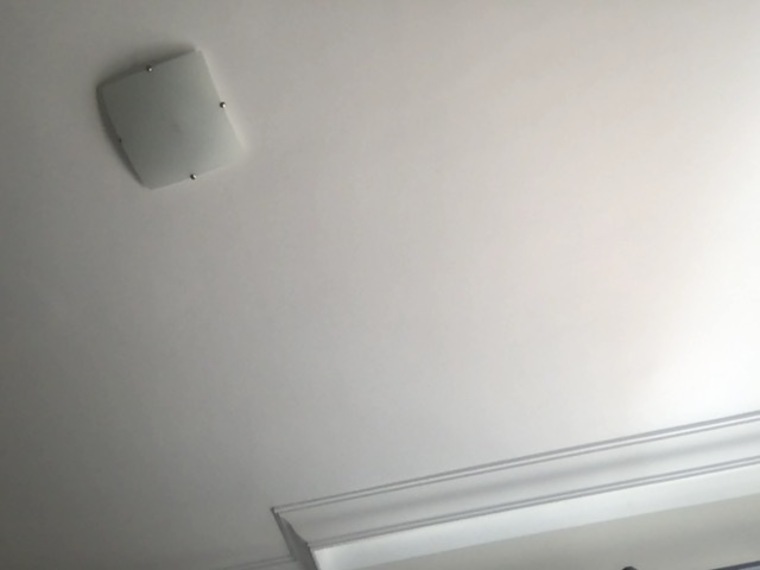 BearBang banner image