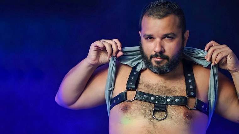 BearBrazilSpain cover image