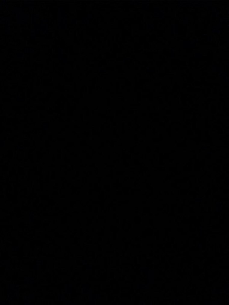 Bearded Grizzly banner image