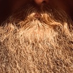 Beardsley avatar