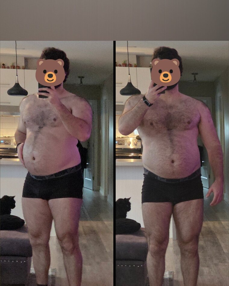BearFaceXL banner image