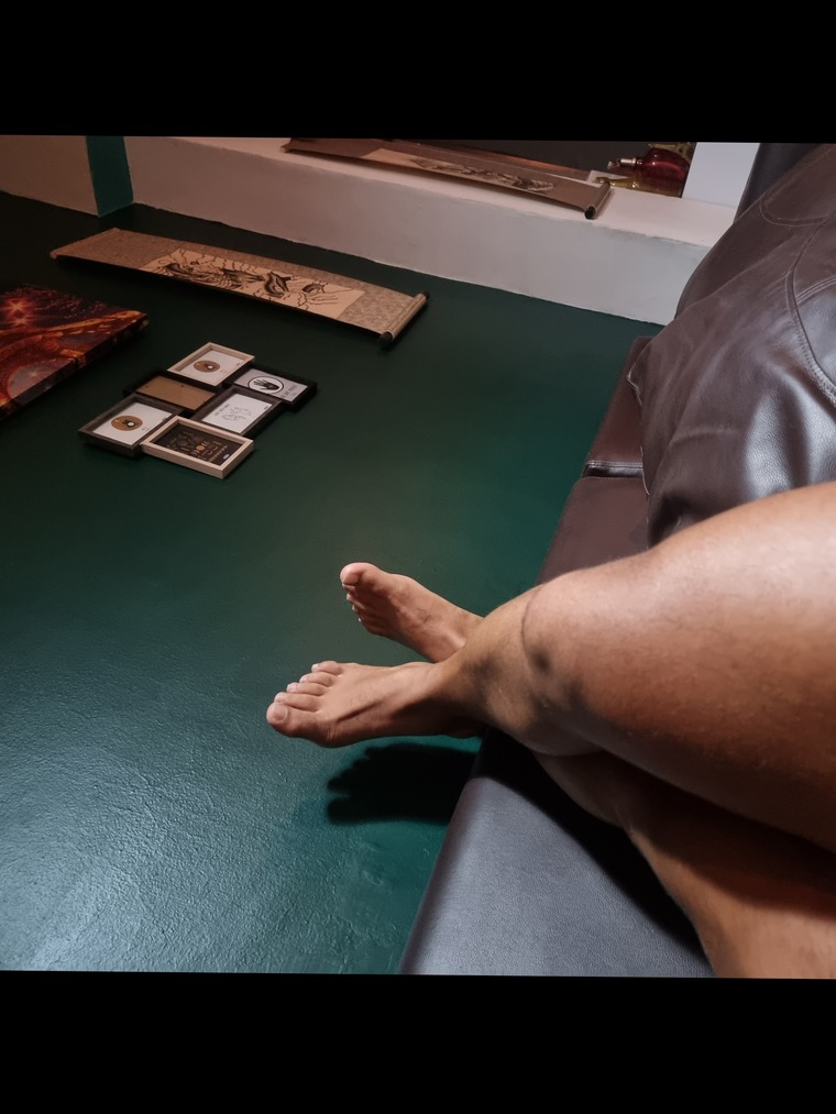 Bear feet banner image