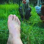 BearfootandBearded avatar