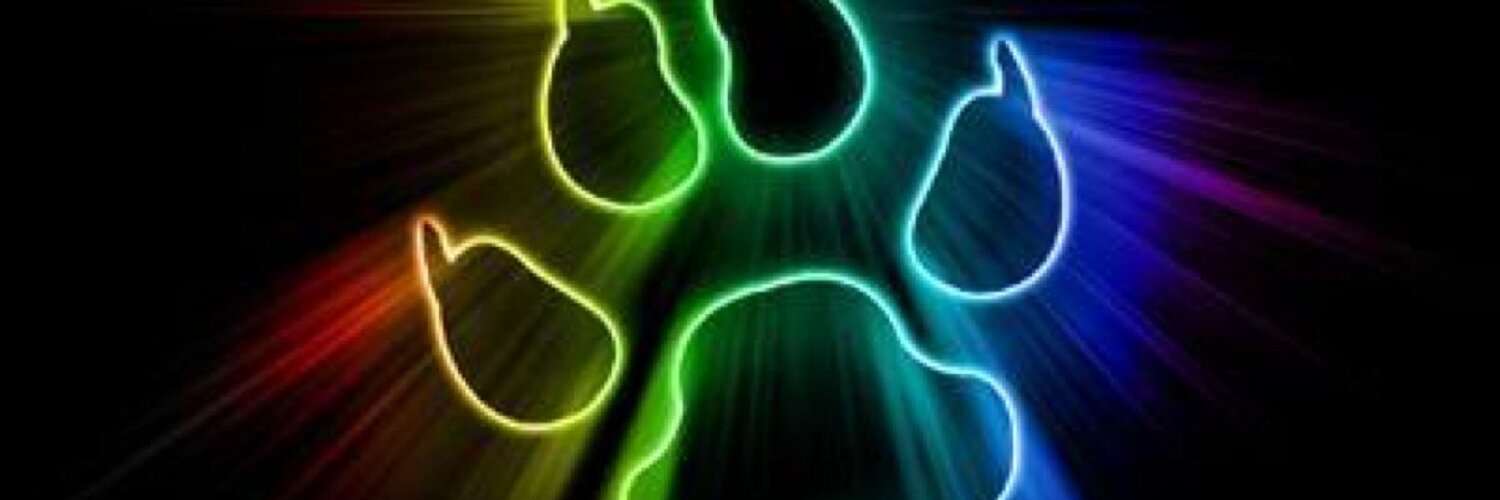 OsitoPR banner image