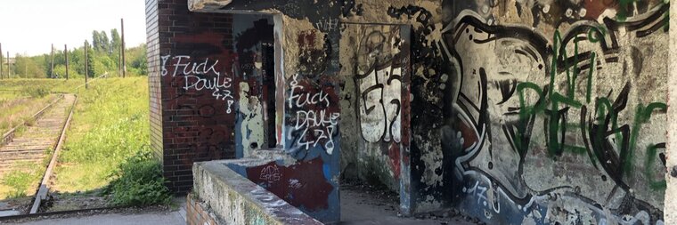 bearprojekt cover image