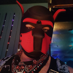 Bear Pup Dodger avatar