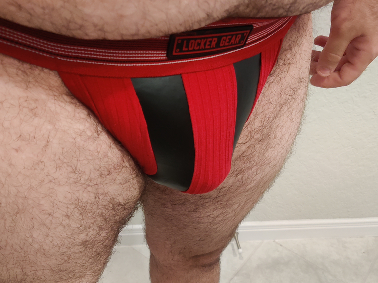Bear Pup Dodger cover image