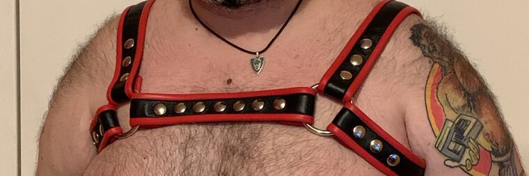 BearPup cover image