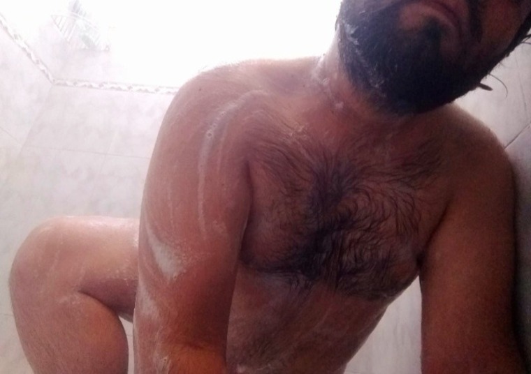 Bear Wall cover image