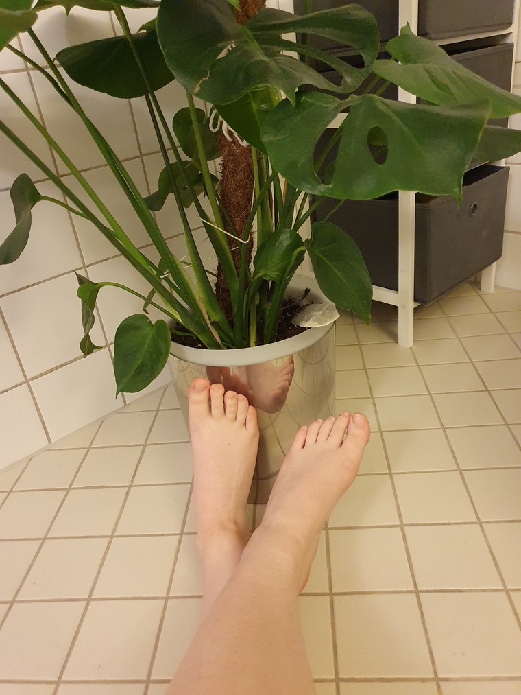 Finefeet banner image