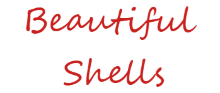 Shelly Shells cover image