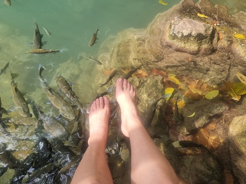 BeautyNaughtyFeet cover image