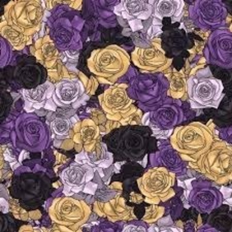 Taylor banner image