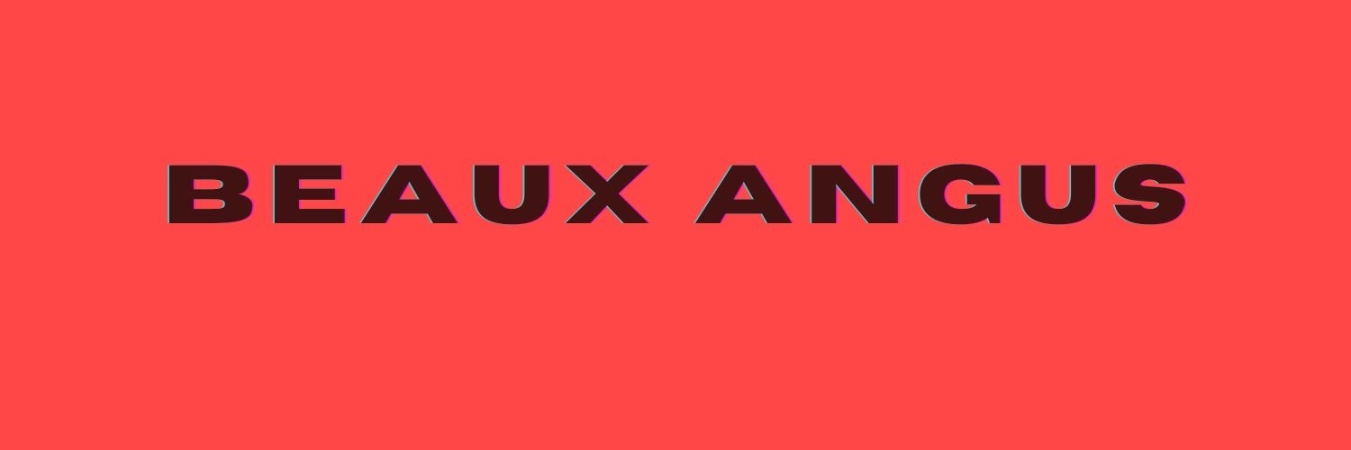 Big Beaux Angus banner image